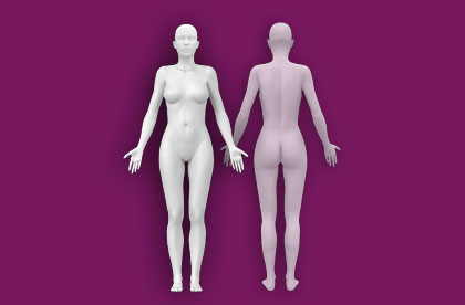 Interactive Female Anatomy - Front / Back