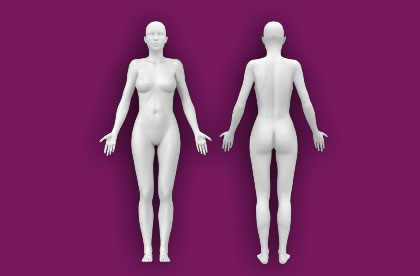 Interactive Female Anatomy - Front / Back