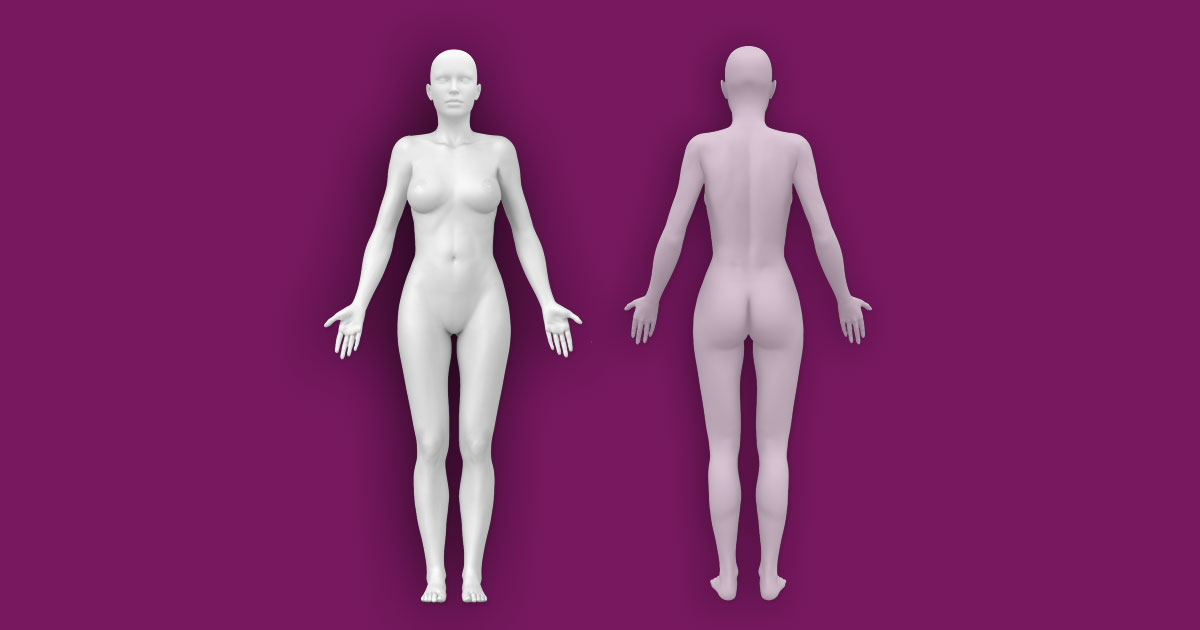 Interactive Female Anatomy Figure Front Back