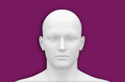 Interactive Human Face Anatomy