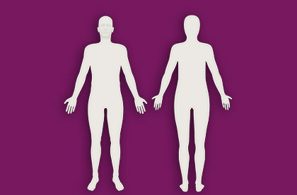 Interactive Anatomy Unisex - Front / Back