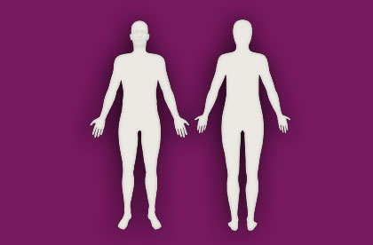 Interactive Unisex Anatomy - Front / Back